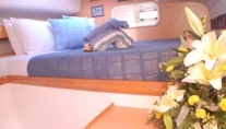 Caribbean Dream - Aft Guest Stateroom